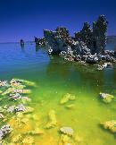 "This is another face of "Mono Lake".  Everytime I arrive. I am guaranteed a new look. This was a ve