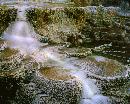 "The terraces at "Mammoth Hot Springs" are created by heat. water. limestone and rock. Minerva is po